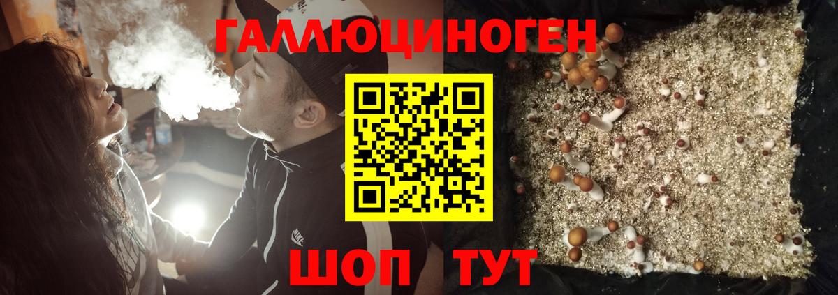 Спасск-Дальний  Псилоцибиновые грибы ЛСД  Вход с VPN 