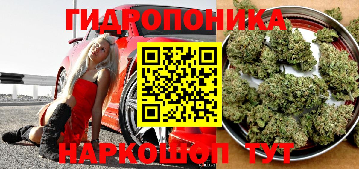 Шишки марихуана Bruce Banner  Вход с VPN  Марихуана планчик  Марихуана THC 21%  Спасск-Дальний  Марихуана THC 21% 